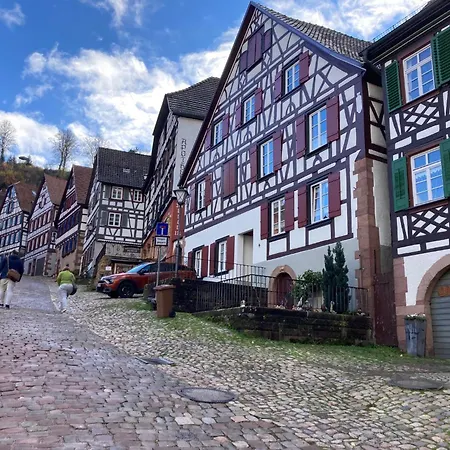 Ferienwohnung Das Nest Schiltach Exterior photo