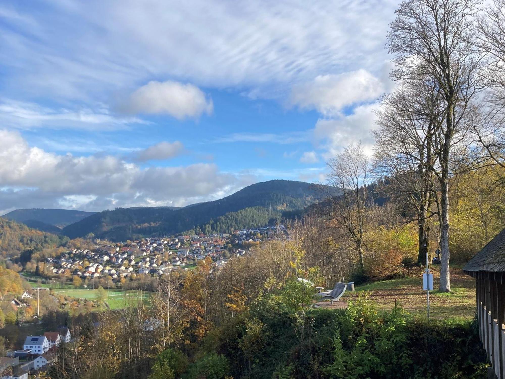 Nest Schiltach