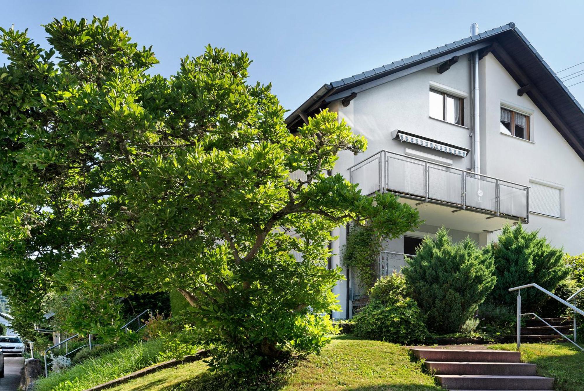 Nest Apartment Schiltach